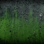 Persistent moisture exposure on walls